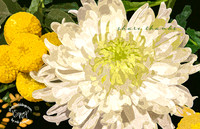 K5R_3869_share_thanks