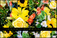 K5R_3753_SavorDifferences